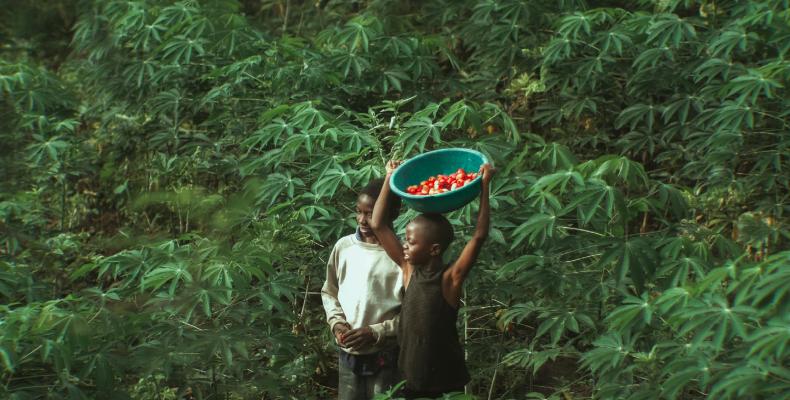 Agir pour l'environnement et préservons nos forêts