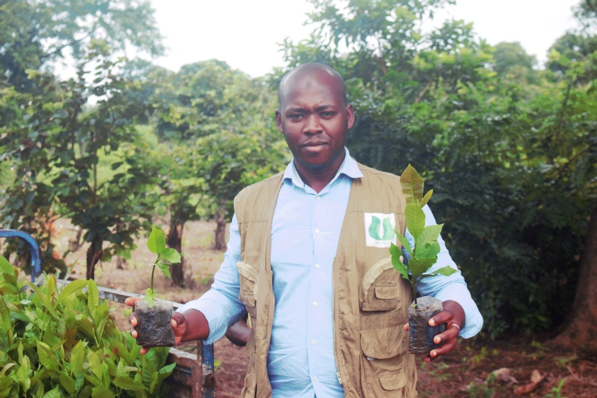 Promouvoir l'agroforesterie dans les communautés vulnérables tributaires de l'agriculture en Guinée