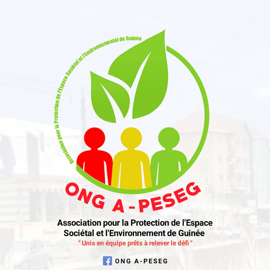 A-PESEG GUINEE