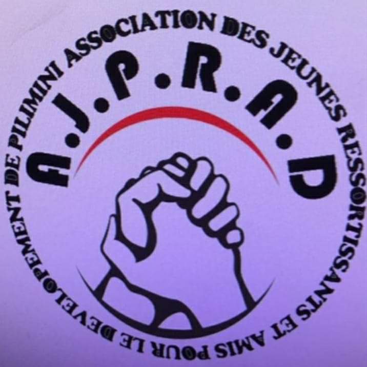 Association des Jeunes Ressortissants et Amis pour le Développement de Pilimini